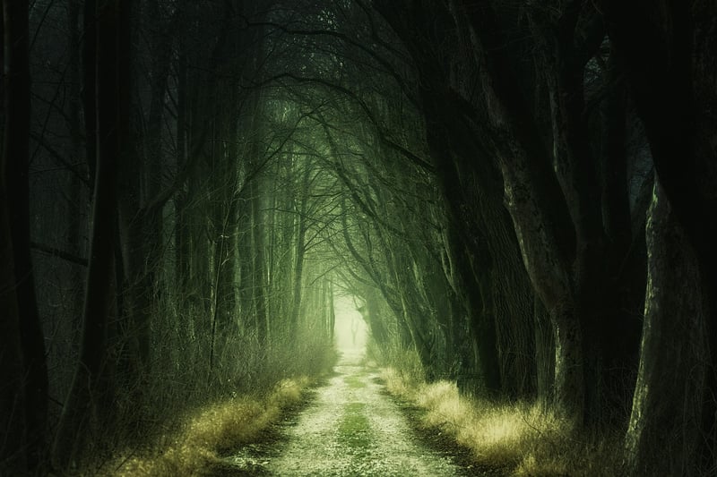 Experience enchanting wonders
