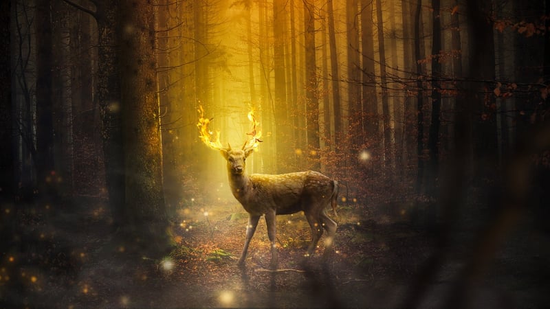 Find magical creatures